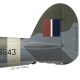Desmond Scott DSO DFC, Typhoon Mk Ib R8843, No 123 Wing, 1943
