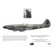 Douglas Davidson, Spitfire FR XIV TZ131, No 453 Squadron RAAF, 1945