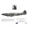 Douglas Davidson, Spitfire FR XIV TZ131, No 453 Squadron RAAF, 1945