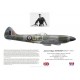 "Johnnie" Johnson DSO DFC, Spitfire Mk XIV MV268, No 125 (RCAF) Wing, 1945