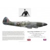 "Johnnie" Johnson DSO DFC, Spitfire Mk XIV MV268, No 125 (RCAF) Wing, 1945