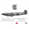 Robert Waddell DSO DFC, Spitfire Mk XIV RN114, No 39 (RCAF) Wing, 1944-1945