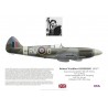 George Keefer DSO DFC, Spitfire Mk XIV MV263, No 125 (RCAF) Wing, 1945