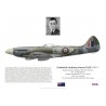 Frederick Gaze DFC, Spitfire Mk XIV MV260, No 41 Squadron RAF, 1945