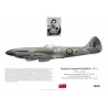Donald Gordon DFC, Spitfire Mk XIV MV310, No 402 (RCAF) Squadron, 1945