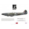 Douglas Hall DFC, Spitfire Mk XIV NH640, No 414 (RCAF) Squadron, 1945