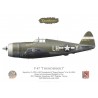 P-47D Thunderbolt "Eager Beaver", Lt Dwight A. Fry, 350th Fighter Squadron, 353rd Fighter Group, 1943