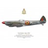 Spitfire Mk XVI TD325, 350e Escadrille, Aviation Militaire Belge, Beauvechain, 1946