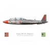 Fouga Magister, Groupement Ecole 315, 1er Escadron d’Instruction en Vol, BA 709 Cognac, 1978