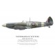 Spitfire Mk XII, F/O Thomas Slack, No 41 Squadron, Royal Air Force, July 1943