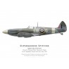 Spitfire Mk XII, F/O Thomas Slack, No 41 Squadron, Royal Air Force, juillet 1943