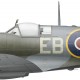Spitfire Mk XII, F/O Thomas Slack, No 41 Squadron, Royal Air Force, July 1943