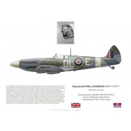 Raymond Harries, Spitfire Mk XII EN617, No 91 (Nigeria) Squadron RAF, 1943