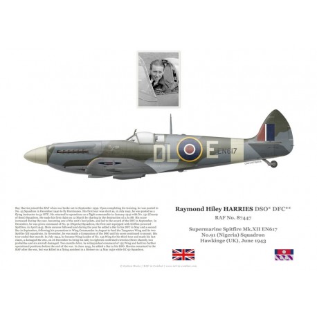 Raymond Harries, Spitfire Mk XII EN617, No 91 (Nigeria) Squadron RAF, 1943