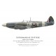 Spitfire Mk XII, F/L Arthur "Pinky" Glen, No 41 Squadron, Royal Air Force, September 1943