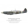 Spitfire Mk XII, F/L Arthur "Pinky" Glen, No 41 Squadron, Royal Air Force, septembre 1943
