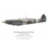 Spitfire Mk XII, P/O N. Peter Gibbs, No 41 Squadron, Royal Air Force, juin 1944