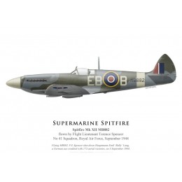 Spitfire Mk XII, F/L Terence Spencer, No 41 Squadron, Royal Air Force, septembre 1944