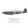 Spitfire Mk XII, F/L Terence Spencer, No 41 Squadron, Royal Air Force, septembre 1944