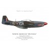 Mustang Mk IVA, No 112 Squadron, Royal Air Force, Italie, mai 1945