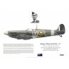 Robert Bungey DFC, Spitfire Mk Vb W3646, No 452 Squadron RAAF, 1941