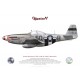 P-51D Mustang "Marinell" 44-13521, Capt. Bradford Stevens, 504th Fighter Squadron, 339th Fighter Group, 1944