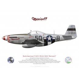 P-51D Mustang "Marinell" 44-13521, Capt. Bradford Stevens, 504th Fighter Squadron, 339th Fighter Group, 1944