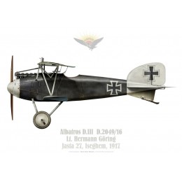 Albatros D.III D.2049/16, Lt. Hermann Göring, Jasta 27, Iseghem, 1917