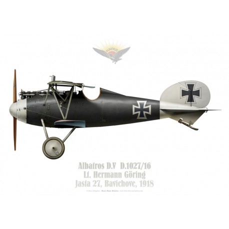 Albatros D.V D.1027/16, Lt. Hermann Göring, Jasta 27, Bavichove, 1918