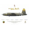 B-26C Marauder "The Yankee Guerrilla", 555th Bomb Squadron, 386th Bomb Group, octobre 1944