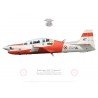 Embraer 312F Tucano, Ecole de Pilotage et de Navigation de l'Armée de l'Air 05.312, BA 701 Salon-de-Provence