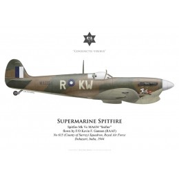 Spitfire Mk Vc "Snifter", F/O Kevin Gannon (RAAF), No 615 (County of Surrey) Squadron RAF, Inde, 1944