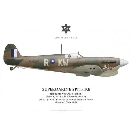 Spitfire Mk Vc "Snifter", F/O Kevin Gannon (RAAF), No 615 (County of Surrey) Squadron RAF, Inde, 1944