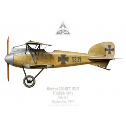 Albatros D.III, Friedrich Hefty, Flik 44F, September 1917