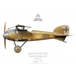 Albatros D.III, Andreas Dombrowski, Flik 31D, août 1917