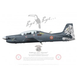 Embraer 312F Tucano, EPNAA 05.312, French Air Force, Tucano retirement special paint scheme