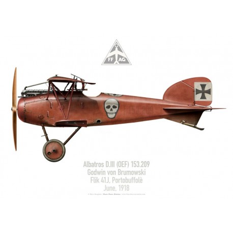 Albatros D.III 153.209, Godwin von Brumowski, Flik 41J, June 1918