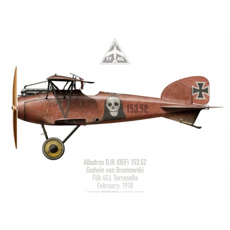 Albatros D.III 153.52, Godwin von Brumowski, Flik 41J, février 1918