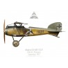 Albatros D.III, Flik 42J, Prosecco, Italy, September 1917
