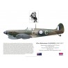 Clive "Killer" Caldwell DSO DFC, Spitfire Mk Vc JL394, OC No 1 Wing RAAF, Australie, 1943