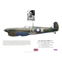 Eric Gibbs DFC, Supermarine Spitfire Mk Vc BS164, OC No 54 Squadron RAF, Australie, 1943