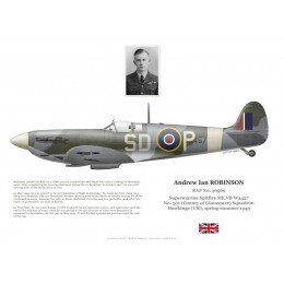 Ian Robinson, Spitfire Mk Vb W3457, No 501 Squadron RAF, RAF Hawkinge, 1943