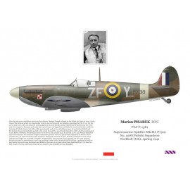 Marian Pisarek DFC, Spitfire Mk IIa P7919, No 308 (Polish) Squadron RAF, Northolt, 1941