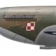 Marian Pisarek DFC, Spitfire Mk IIa P7919, No 308 (Polish) Squadron RAF, Northolt, 1941