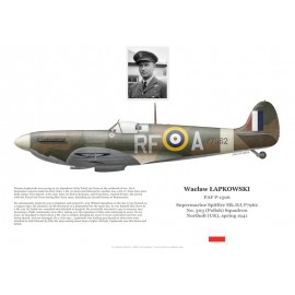 Wacław Łapkowski, Spitfire Mk IIa P7919, No 308 (Polish) Squadron RAF, Northolt, 1941