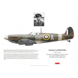 Wacław Łapkowski, Spitfire Mk IIa P7919, No 308 (Polish) Squadron RAF, Northolt, 1941
