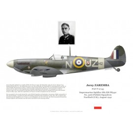 Jerzy Zaremba, Spitfire Mk IIb P8342, No 306 (Polish) Squadron RAF, Northolt, 1941