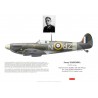 Jerzy Zaremba, Spitfire Mk IIb P8342, No 306 (Polish) Squadron RAF, Northolt, 1941