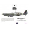 Matthew Barnett DFC, Spitfire Mk IX MA817, No 501 (County of Gloucester) Squadron RAF, Hawkinge, 1944