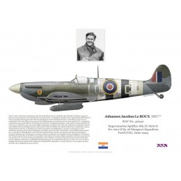 Johannes Le Roux DFC, Spitfire Mk IX MJ276, No 602 (County of Glasgow) Squadron RAF, Ford, 1944